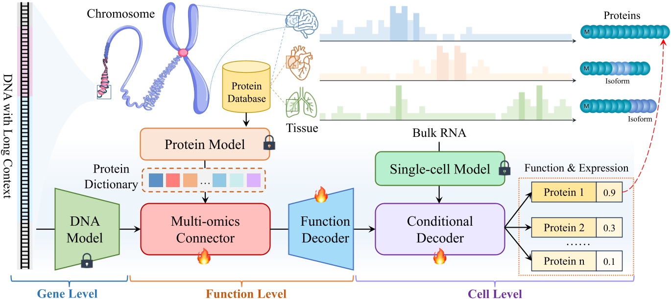 CDBridge context-aware cross-omics modeling framework